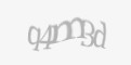 Защитный код