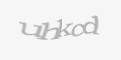 Защитный код
